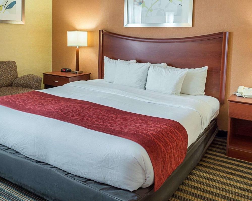Comfort Inn Petersburg Near Fort Gregg-Adams Экстерьер фото