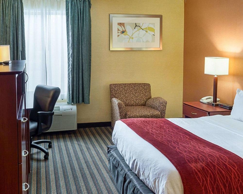 Comfort Inn Petersburg Near Fort Gregg-Adams Экстерьер фото