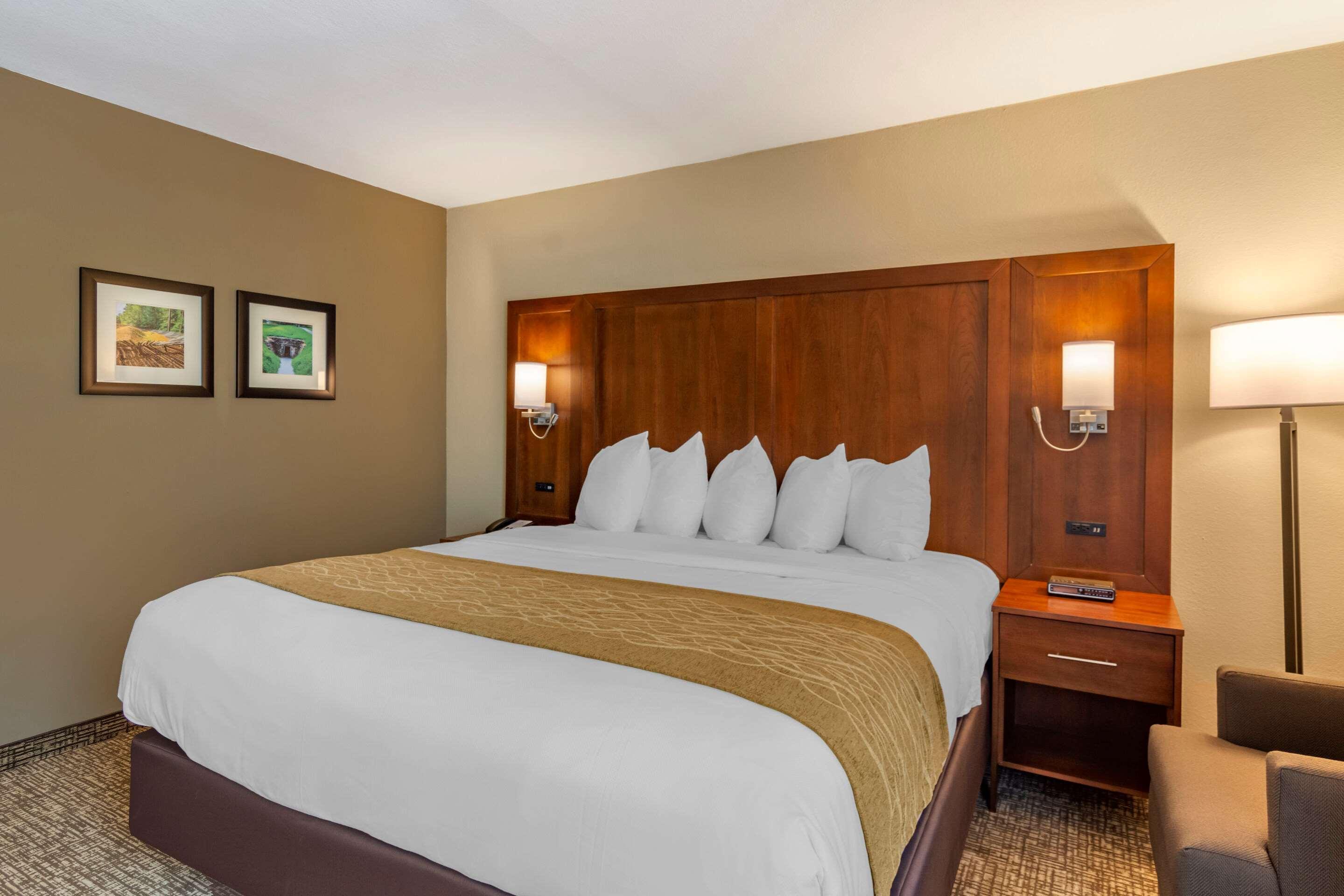 Comfort Inn Petersburg Near Fort Gregg-Adams Экстерьер фото