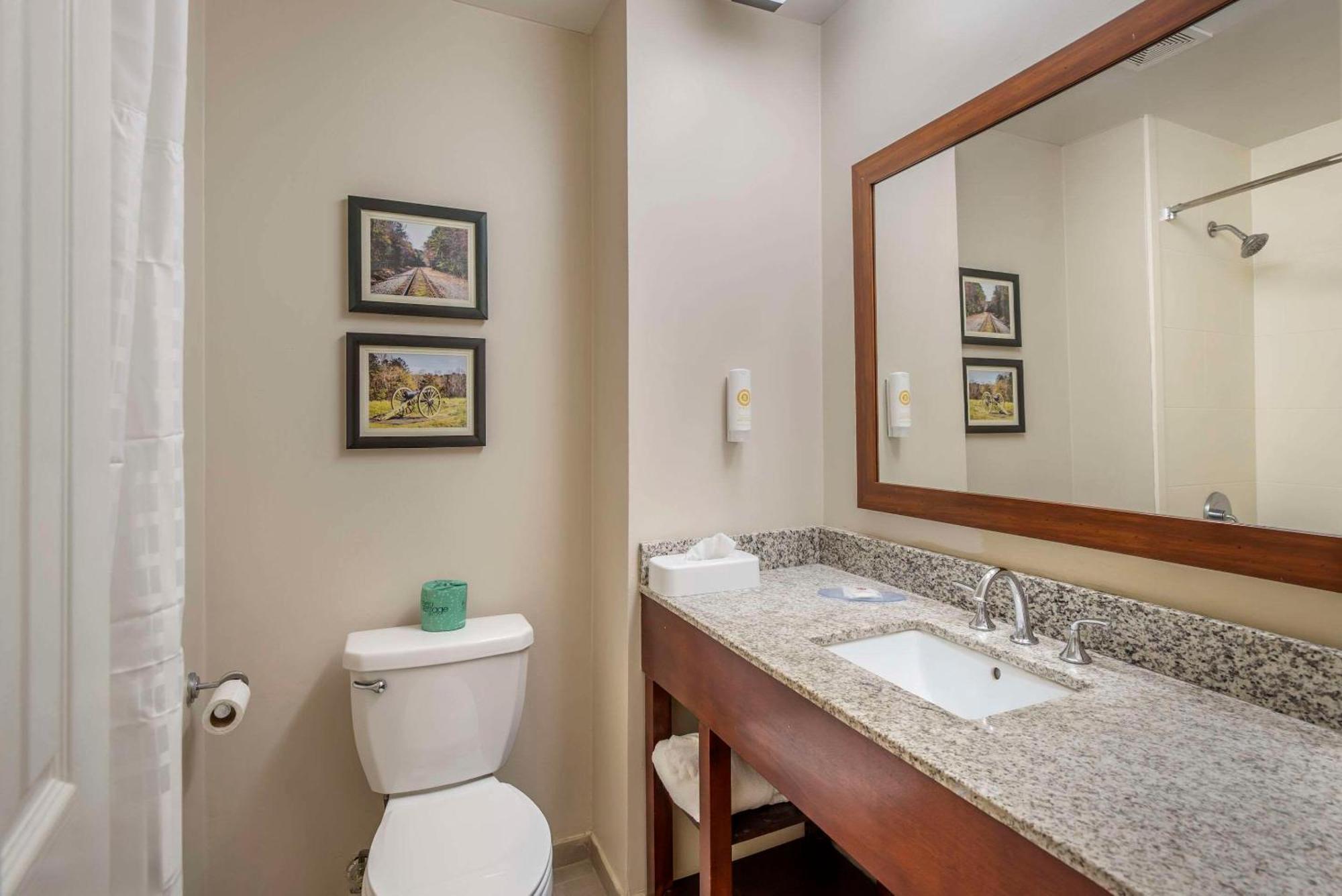 Comfort Inn Petersburg Near Fort Gregg-Adams Экстерьер фото