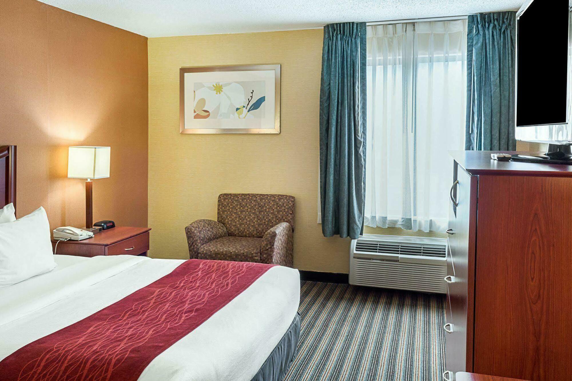 Comfort Inn Petersburg Near Fort Gregg-Adams Экстерьер фото