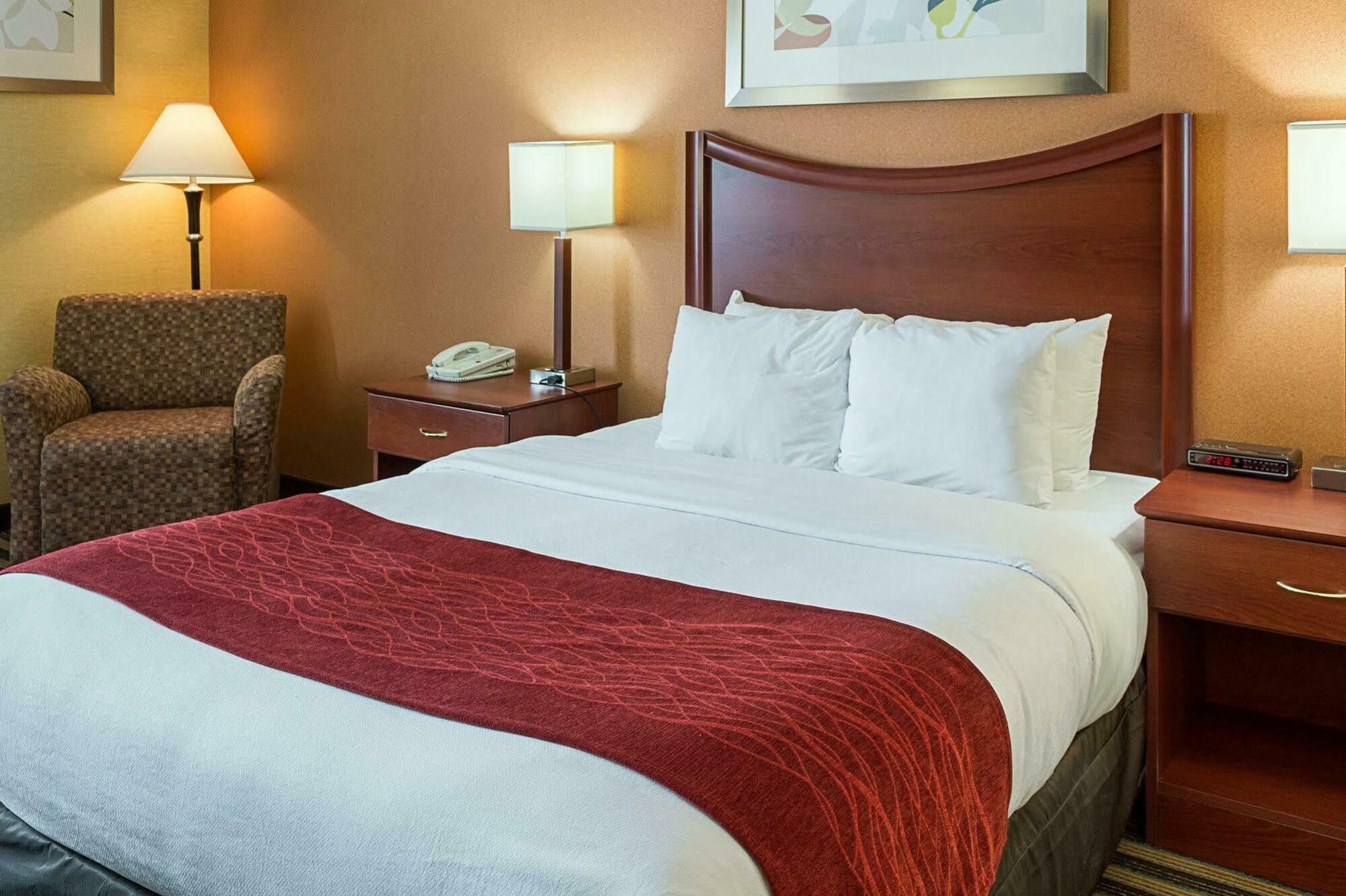 Comfort Inn Petersburg Near Fort Gregg-Adams Экстерьер фото
