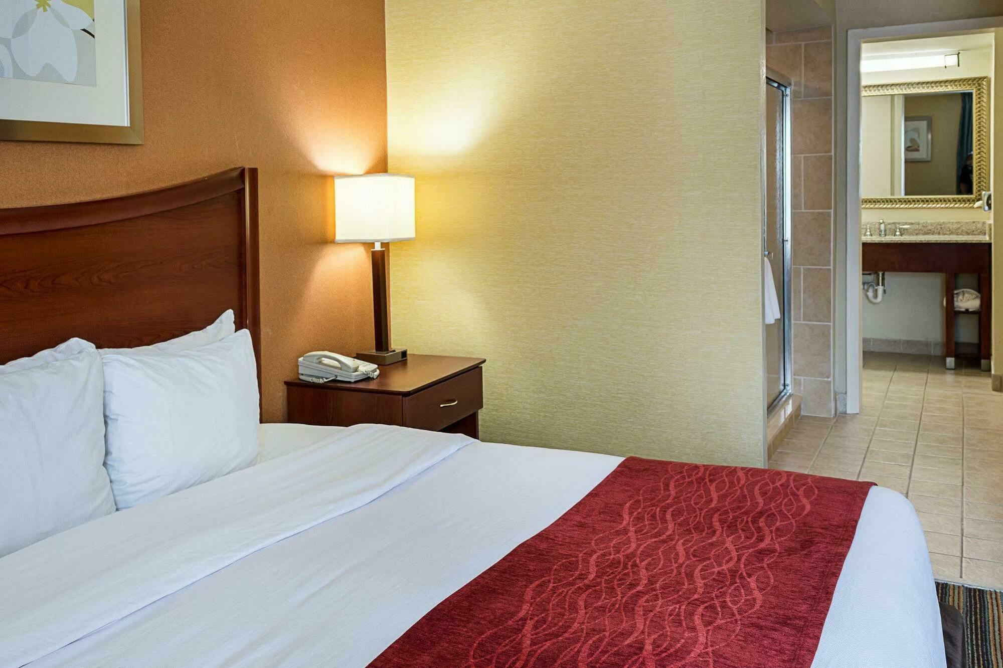 Comfort Inn Petersburg Near Fort Gregg-Adams Экстерьер фото